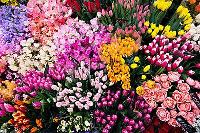 Battle Aces亚洲测试现已开启，人皇SKY联手孙一峰中韩争霸再起