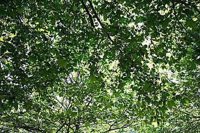 老牌钓鱼游戏系列新作《神眼钓手：夏日》夏季上市